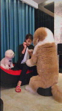3DM轻松一刻第334期 妹子身上纱多余挡我看报纸了