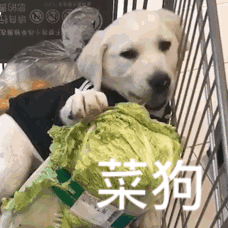 3DM轻松一刻第371期 铆钉武装丝袜短裤真霸气了