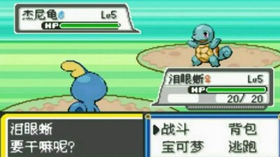 口袋妖怪赤蓝之恋