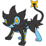 《宝可梦：剑/盾》铠之孤岛伦琴猫图鉴