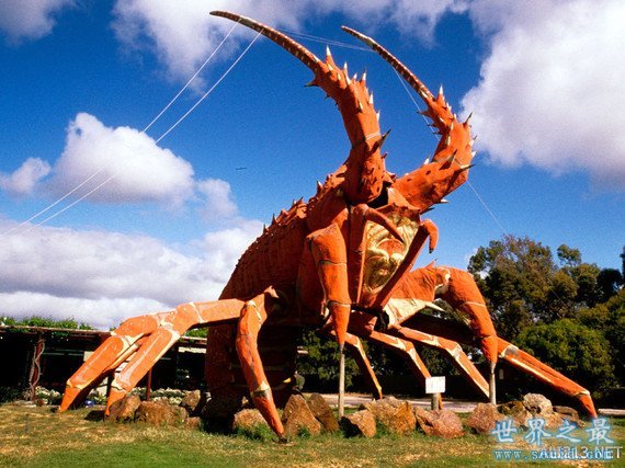 世界十大最奇葩的旅游景点，阴茎博物馆(图)(www.uuziyuan.com)
