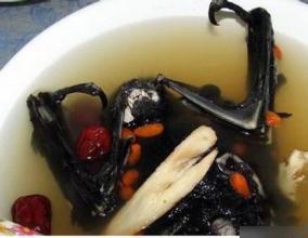 世界十大恶心食物  看了还能动嘴的是个狠人(www.uuziyuan.com)