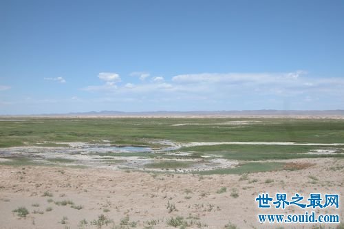 世界上最干旱的草原，寸草难生却是盛产这种名贵植被？(www.uuziyuan.com)