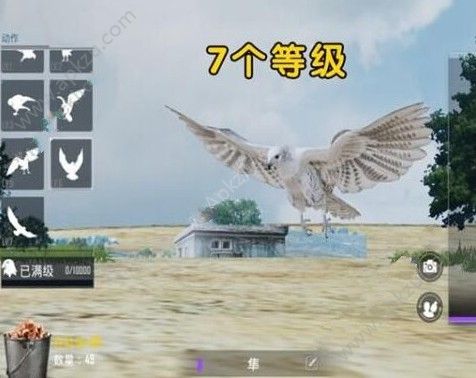 ̼սʲô [ͼ]