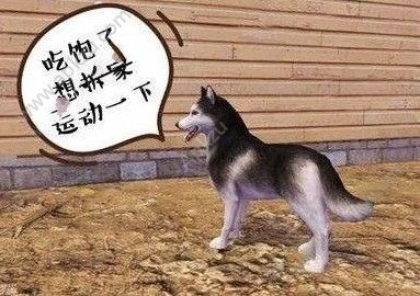 ֮ʿǮ ʿ۸[ͼ]