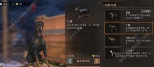 ֮ʿǮ ʿ۸[ͼ]