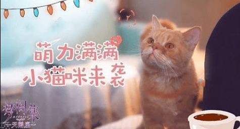 μ伯èô èȡ[ͼ]