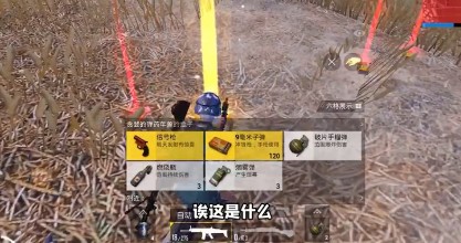 和平精英宝藏年兽在哪里 宝藏年兽位置详解[多图]