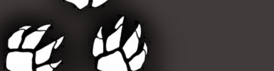 APEXӢѰѪȮ淨ɹ