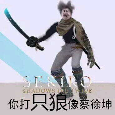 只狼大佬制作蔡字mod你能接受嘛