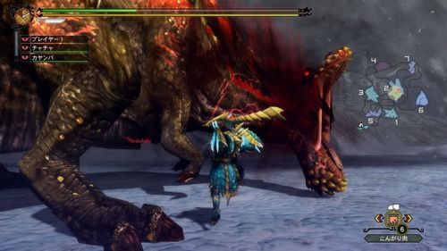 3ds3g