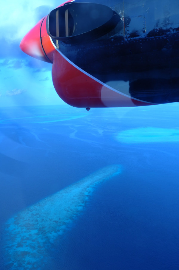 ҹɫˮ