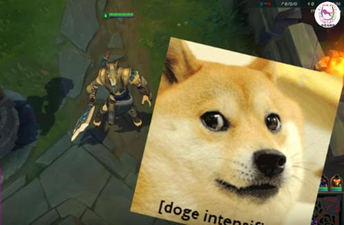 lolͷƤĸָк