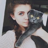 ���¹�ȥ����_ǧ��ǧѰ������ͷ��