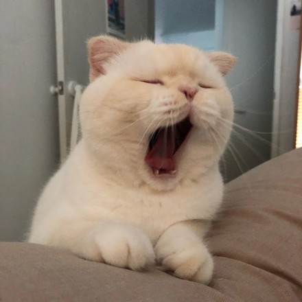 ˧���˸�����ͷ�������С�� �������ĵĻ��������ĵ���