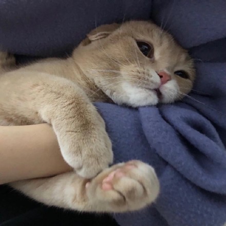 Ǹϲ˫黨Ů ɰƯ
