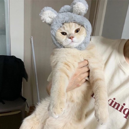 ��Щ�����˵ȴ˵�����Ļ���_����