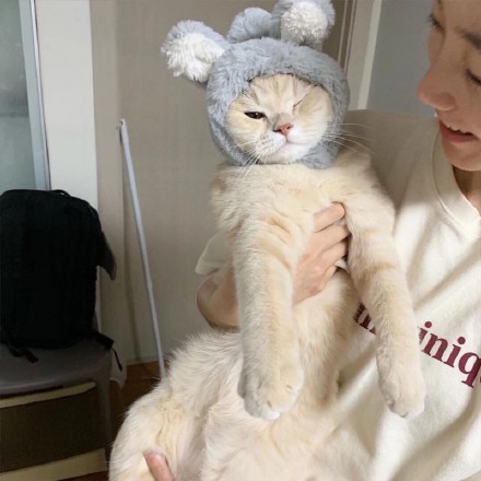 ������������ֹ�_ʱ�п�ͨͷ��