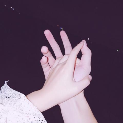 ȡһ ֻŷ˹