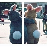 �����е���ҫ_��־��ȫְ����ͷ��