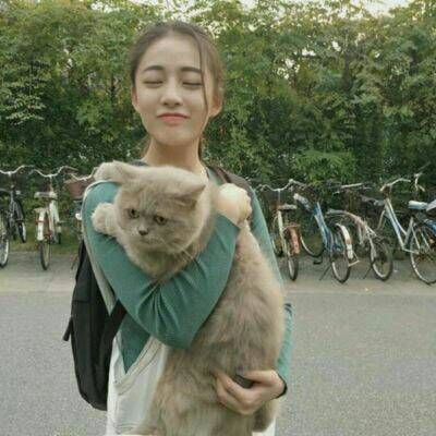 ��������_�����������ͷ��