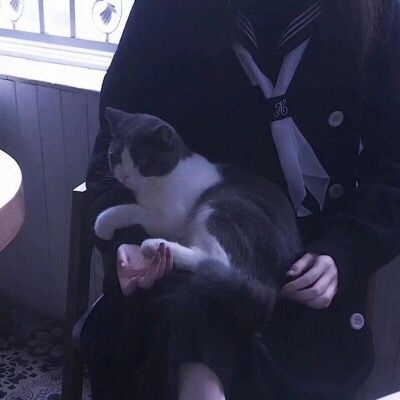 жûŰɫͷ İ