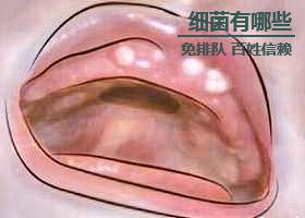 ĬĬ�Ŀ���ôװ��_Ģ��ͷ�����Ц