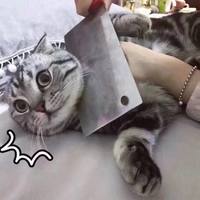 㿪ľͺ ͨЦŮͷ