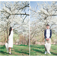 һ��һ�ݽ�֯_Ϊ���ӿ�׼��������