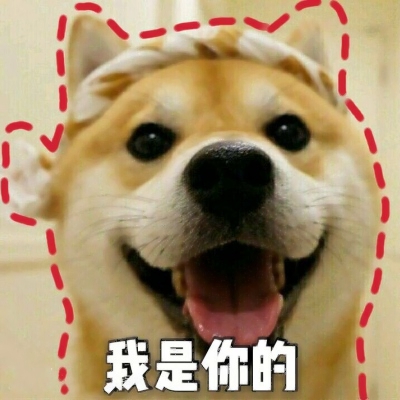 һ��ѩ�׺�Ư��_���Կɰ��ȸ����