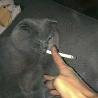 ҪԼķʽ ˰ױŮ