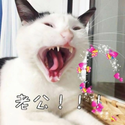 ұ仵˶Ϊ ڰϵŮ
