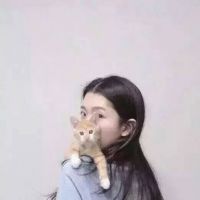 �С����_��ͨС����ͷ��