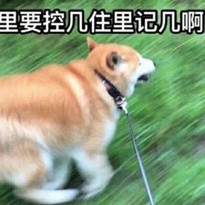 �Ͷ������_��һ�Ͷ�����ͷ��