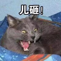 ΢����������ͷ�������� ��������������Ұ���ס��