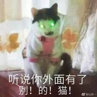 ô˧ôܳ ʦ