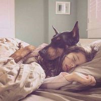 ��Щ�������˵������_�����⾳��