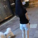 �Ҳ�ƭ��_����è������ʺ�������