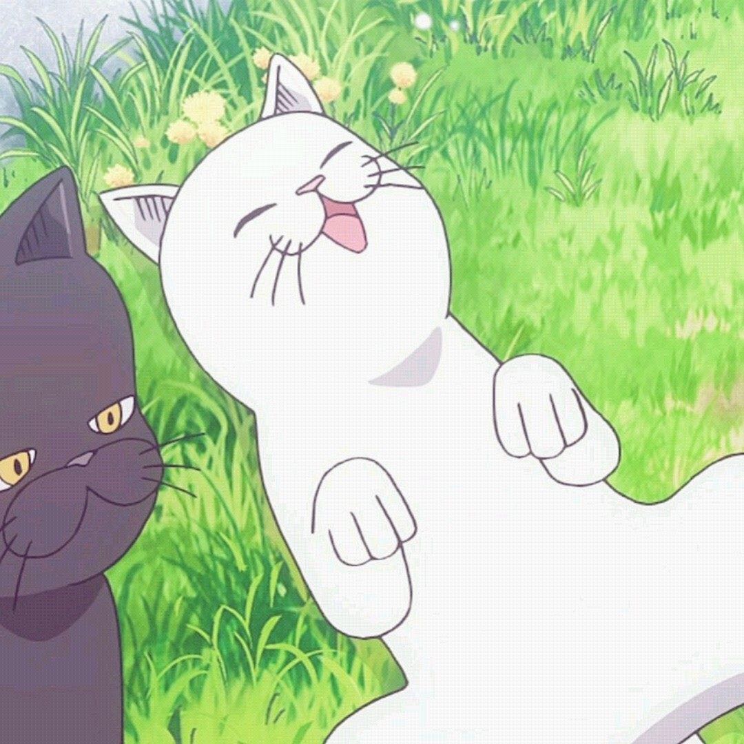 ������ӵ���_�����ר��ͷ��