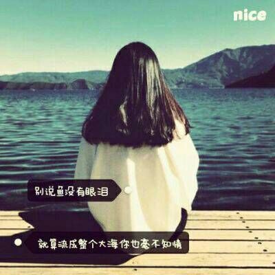 ����һͷ���� �����������