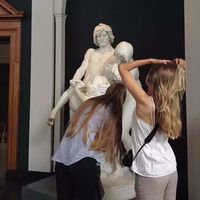 ҵ粻Ҫ㶮 ΢ֲʮֲ