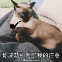 Ůͷ ·