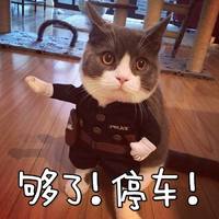 Ԫ��������һ��_�������ı���ͷ��