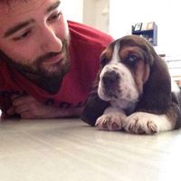 ����һ����_������ȴ���Ǽ��򵥵�