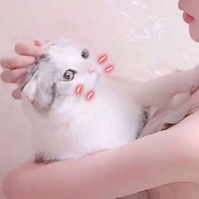 ������ͷ����������ͷ��ѡ ʱ���������¾�������һ�����
