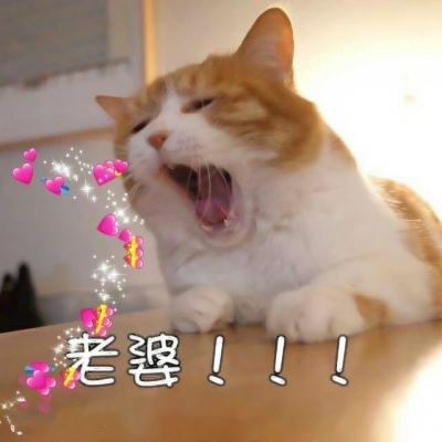 ��⨺��ҵļ���_�Ǹ��Ե�⨺���ͷ