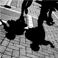 ����ף���Ҹ���������_�������긣