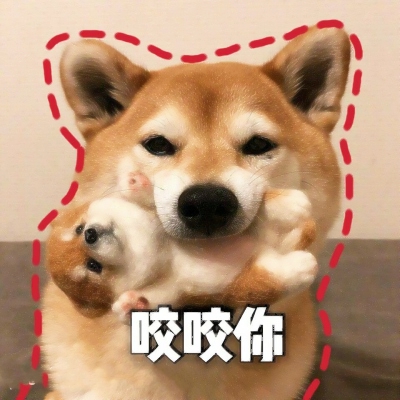 �����������_�ɰ�����������èͷ