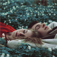 ���������ż�����_��������̻�ͷ