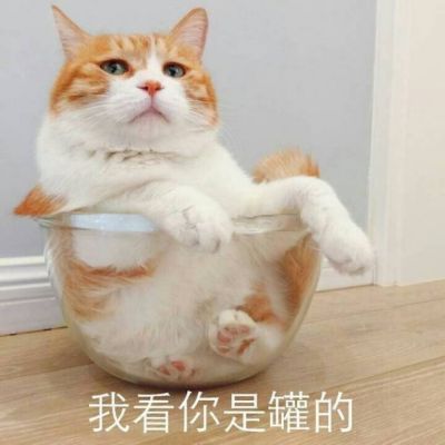 ûҪ˵ ָ